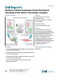 Cover page: Dynamic Cellular Integration Drives Functional Assembly of the Heart's Pacemaker Complex.