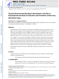 Cover page: Thyroid hormone and the brain: Mechanisms of action in development and role in protection and promotion of recovery after brain injury.