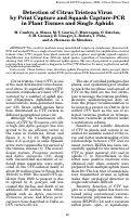 Cover page: Detection of Citrus Tristeza Virusby Print Capture and Squash Capture-PCRin Plant Tissues and Single Aphids
