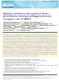 Cover page: Splicing machinery dysregulation drives glioblastoma development/aggressiveness: oncogenic role of SRSF3