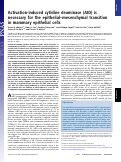 Cover page: Activation-induced cytidine deaminase (AID) is necessary for the epithelial-mesenchymal transition in mammary epithelial cells.