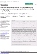 Cover page: Root-knot nematodes exploit the catalase-like effector to manipulate plant reactive oxygen species levels by directly degrading H2O2.