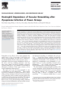 Cover page: Neutrophil Dependence of Vascular Remodeling after Mycoplasma Infection of Mouse Airways