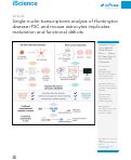 Cover page: Single-nuclei transcriptome analysis of Huntington disease iPSC and mouse astrocytes implicates maturation and functional deficits