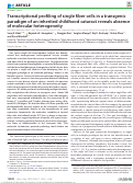 Cover page: Transcriptional profiling of single fiber cells in a transgenic paradigm of an inherited childhood cataract reveals absence of molecular heterogeneity