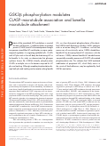 Cover page: GSK3β phosphorylation modulates CLASP–microtubule association and lamella microtubule attachment