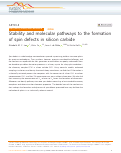 Cover page: Stability and molecular pathways to the formation of spin defects in silicon carbide