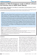 Cover page: Ablation of NG2 Proteoglycan Leads to Deficits in Brown Fat Function and to Adult Onset Obesity