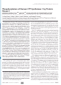 Cover page: Phosphorylation of Human CTP Synthetase 1 by Protein Kinase C IDENTIFICATION OF Ser462 AND Thr455 AS MAJOR SITES OF PHOSPHORYLATION*