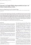 Cover page: Structure of a Single Whisker Representation in Layer 2 of Mouse Somatosensory Cortex