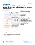 Cover page: Co-Folding of a FliF-FliG Split Domain Forms the Basis of the MS:C Ring Interface within the Bacterial Flagellar Motor