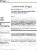 Cover page: The “backdoor pathway” of androgen synthesis in human male sexual development