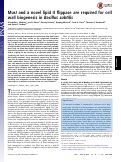 Cover page: MurJ and a novel lipid II flippase are required for cell wall biogenesis in Bacillus subtilis