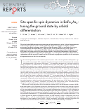 Cover page: Site specific spin dynamics in BaFe2As2: tuning the ground state by orbital differentiation