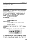 Cover page: A Pvu II RFLP in the human ADH3 gene