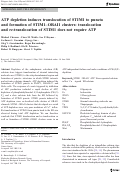 Cover page: ATP depletion induces translocation of STIM1 to puncta and formation of STIM1–ORAI1 clusters: translocation and re-translocation of STIM1 does not require ATP