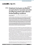 Cover page: Peripheral clock gene oscillations are perturbed in neonatal and adult rat offspring raised under adverse limited bedding conditions.