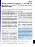 Cover page: Four basic residues critical for the ion selectivity and pore blocker sensitivity of TMEM16A calcium-activated chloride channels