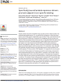 Cover page: Specifically bound lambda repressor dimers promote adjacent non-specific binding