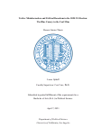 Cover page: Twitter Misinformation and Political Donations in the 2020 US Election:The Blue Canary in the Coal Mine