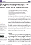 Cover page: Flap Endonuclease 1 Endonucleolytically Processes RNA to Resolve R-Loops through DNA Base Excision Repair.