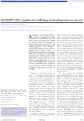 Cover page: MAPK8IP1/JIP1 regulates the trafficking of autophagosomes in neurons