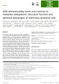 Cover page: ECM dimensionality tunes actin tension to modulate endoplasmic reticulum function and spheroid phenotypes of mammary epithelial cells.