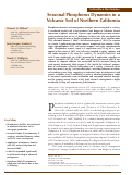 Cover page: Seasonal Phosphorus Dynamics in a Volcanic Soil of Northern California