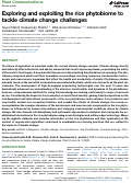 Cover page: Exploring and exploiting the rice phytobiome to tackle climate change challenges.
