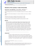 Cover page: Maturation of the respiratory complex II flavoprotein