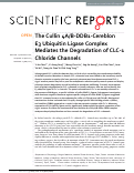 Cover page: The Cullin 4A/B-DDB1-Cereblon E3 Ubiquitin Ligase Complex Mediates the Degradation of CLC-1 Chloride Channels