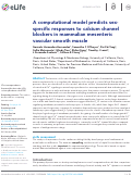 Cover page of A computational model predicts sex-specific responses to calcium channel blockers in mammalian mesenteric vascular smooth muscle