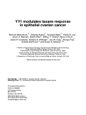 Cover page: YY1 modulates taxane response in epithelial ovarian cancer