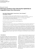 Cover page: Phenotypic Transition of the Collecting Duct Epithelium in Congenital Urinary Tract Obstruction