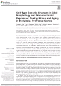 Cover page: Cell-Type Specific Changes in Glial Morphology and Glucocorticoid Expression During Stress and Aging in the Medial Prefrontal Cortex