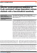 Cover page: Selective posttranslational inhibition of CaVβ1-associated voltage-dependent calcium channels with a functionalized nanobody