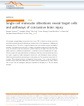 Cover page: Single cell molecular alterations reveal target cells and pathways of concussive brain injury