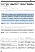 Cover page: Dynamic Assignment and Maintenance of Positional Identity in the Ventral Neural Tube by the Morphogen Sonic Hedgehog