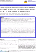 Cover page: Tissue inhibitor of metalloproteinases-3 mediates the death of immature oligodendrocytes via TNF-a/TACE in focal cerebral ischemia in mice