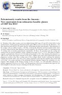 Cover page: Paleointensity results from the Jurassic: New constraints from submarine basaltic glasses of ODP Site 801C