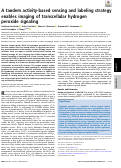 Cover page: A tandem activity-based sensing and labeling strategy enables imaging of transcellular hydrogen peroxide signaling
