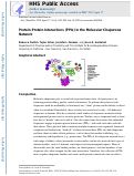 Cover page: Protein–Protein Interactions in the Molecular Chaperone Network