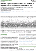 Cover page: Paladin, a tyrosine phosphatase-like protein, is required for XA21-mediated immunity in rice