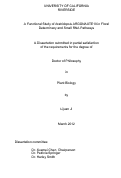 Cover page: A Functional Study of Arabidopsis Argonaute10 in Floral Determinacy and Small RNA Pathways