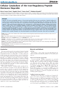 Cover page: Cellular Catabolism of the Iron-Regulatory Peptide Hormone Hepcidin