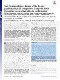 Cover page: Two transmembrane dimers of the bovine papillomavirus E5 oncoprotein clamp the PDGF β receptor in an active dimeric conformation