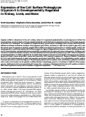 Cover page: Expression of the Cell Surface Proteoglycan Glypican-5 Is Developmentally Regulated in Kidney, Limb, and Brain