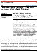 Cover page: Conserved enhancers control notochord expression of vertebrate Brachyury.