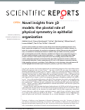 Cover page: Novel insights from 3D models: the pivotal role of physical symmetry in epithelial organization