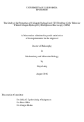 Cover page: The Study of the Properties of Collagen Hydrogel and 3T3 Fibroblast Cells’ Behavior Within Collagen Hydrogel by Multiphoton Microscopy (MPM)